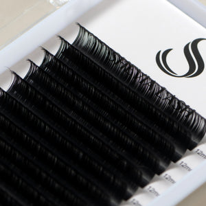 AIREL™ Cashmere Volume Lashes